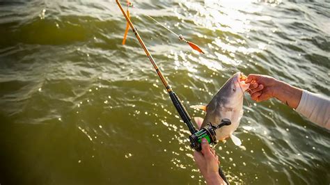 best bumping rods for catfish.